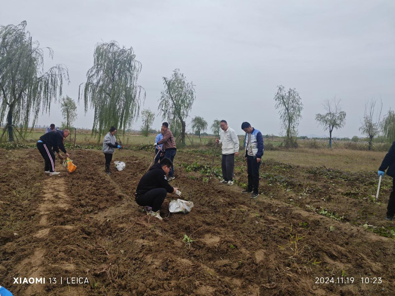 c6b8b9a8a35eb2f19813bc28590384b